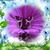 Tammy Pifer's profile image