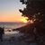 Carol-Lynn Magrath Insley's profile image
