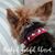 Judith E Thompson's profile image