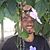 Matheus Carvalho's profile image