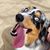 Jennifer-Mark Graves's profile image