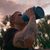 Chris Sadler's profile image