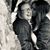 Mercedes Marie Binns's profile image