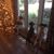 Janet Lefler Tanner's profile image