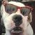 Kevin Callahan's profile image