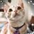 Monica Mendoza-Maldonado's profile image