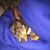 Karen Cook Jones's profile image