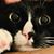 Cindy Martinez's profile image