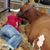 Kimberly Bowman Kucas's profile image