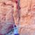 Linda Forrester's profile image
