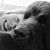 Stephanie Lynn Comito's profile image