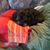Rose Volkening's profile image