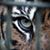 Susanna Olivera's profile image