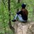 Brooke Loughnan's profile image