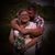 Pam Cleary's profile image