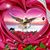 Jam En's profile image