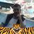 Lounes Moali's profile image