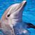 Cynthia Henry's profile image