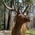 Justin Payne's profile image