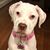 Dawn Kibbe's profile image