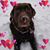 Janet Steiner Lovins's profile image