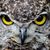 Linda Kaye Freeman's profile image