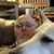 Gary Ashley's profile image