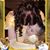 Ken-romeo Gouak's profile image