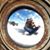 Laci Waters's profile image
