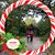 Gina L Spotten's profile image