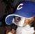 Brian Rodriguez's profile image