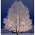 Julie Pinney's profile image