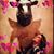 Kristen Oneill's profile image