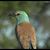 Barbara Walch's profile image