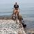 Jennifer Ruth Cook's profile image