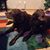 April M Logas's profile image