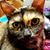Jessica Bree's profile image