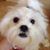 Rebecca Peninger's profile image