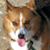 Susan Straw Schwarten's profile image