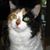 Myrann Johnson's profile image