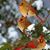 Tina Mooers Nalker's profile image