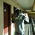 Johnnle Jaclson's profile image