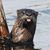 Mindy Baker Maxwell's profile image