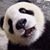 Chris Caron's profile image