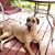 Terri Tangen's profile image