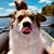 Kelle Brooks's profile image