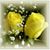 Marilyn Wenrich's profile image