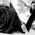 Patricia Velasquez's profile image