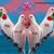 Marselina Balbuena's profile image
