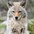 Regina Fulton's profile image